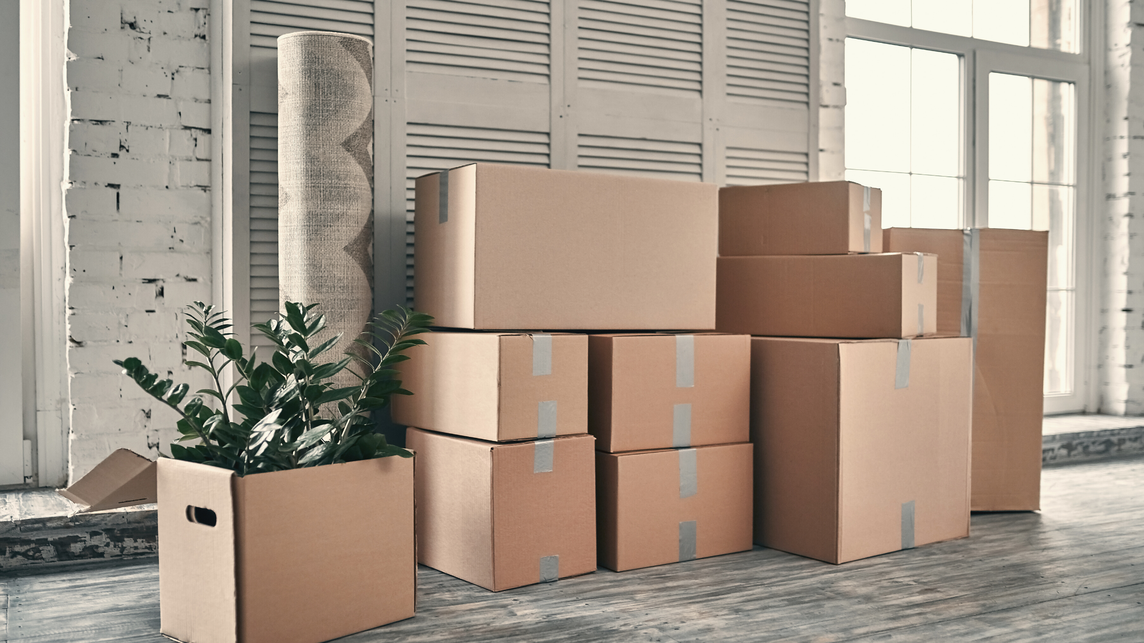 transport appartement guide